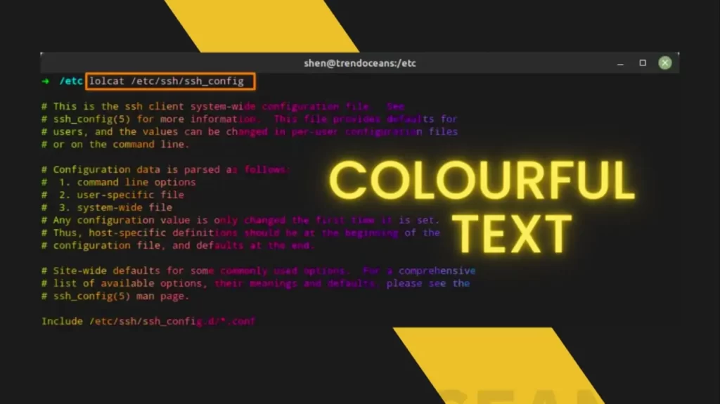 Read more about the article Lolcat: Make your Terminal Output Colourful