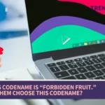 Nitrux 2.6.0’s codename is “Forbidden Fruit.” What made them choose this codename?