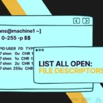 How to List all Open File Descriptors