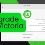 How to Upgrade from Linux Mint Vanessa to Victoria 21.2 Victoria