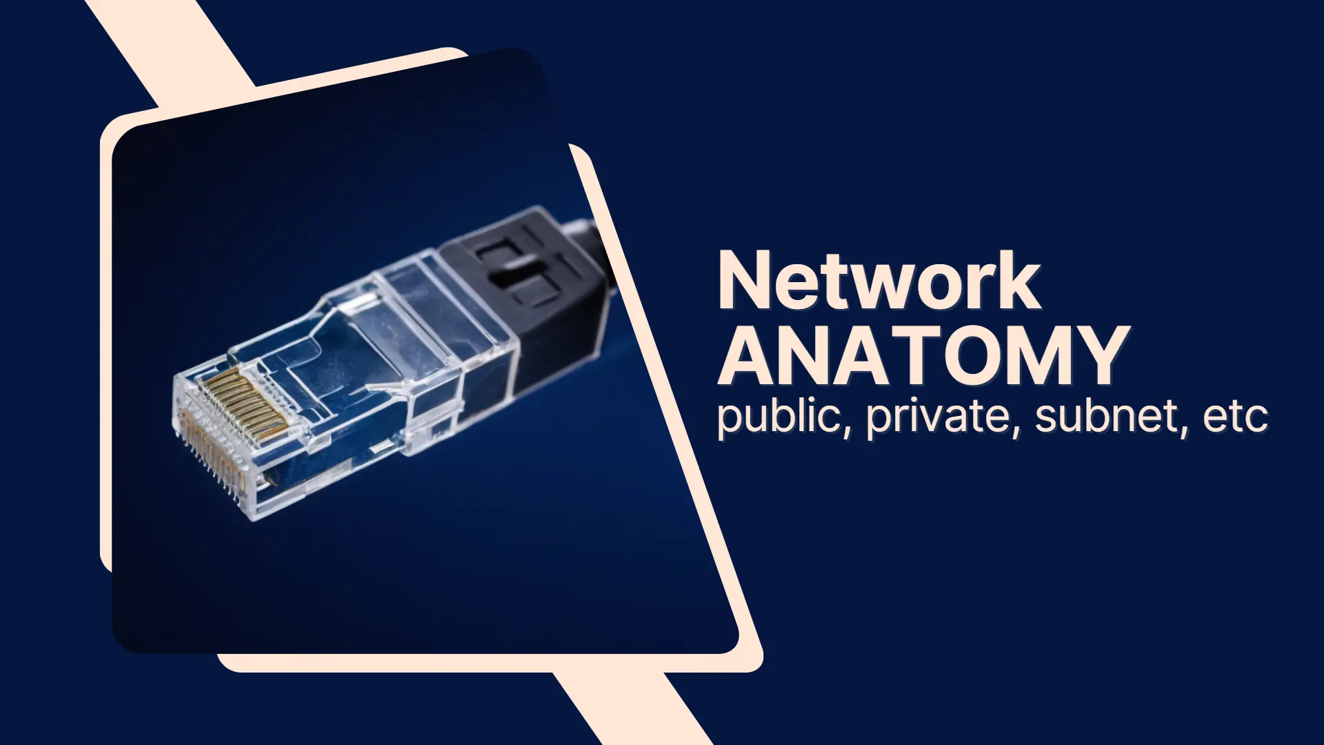network anatomy thumbnail